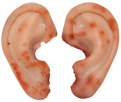 Abgetrennte Ohren - Realistischer Look 2 St. -Halloween Deko Verkaufsgeschäft abgetrennte ohren halloween deko und film requisite cut off ears halloween body parts 38357 01 1