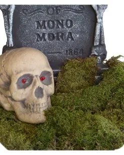 Grünes Deko Moos 80g