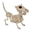 Hunde Skelett Mit Knochen 27cm -Halloween Deko Verkaufsgeschäft skelett hund mit knochen hunde skelett mit knochen skeleton dog with bone 52641 01