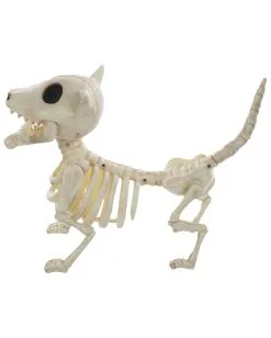 Hunde Skelett Mit Knochen 27cm -Halloween Deko Verkaufsgeschäft skelett hund mit knochen hunde skelett mit knochen skeleton dog with bone 52641 03