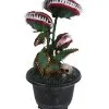 Zubeißende Venus Fliegenfalle 36cm -Halloween Deko Verkaufsgeschäft zubeissende venus fliegenfalle halloween animatronic closing venus fly trap halloween animatronic 39674 02